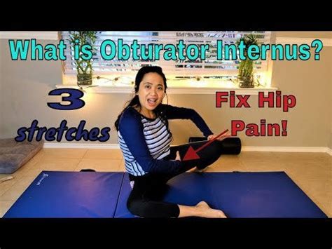 How to Stretch Obturator Internus: A Journey Through Flexibility and Beyond